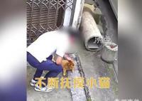 男子用小刀殘忍割斷看門貓尾巴 殘忍的手段被監控拍下