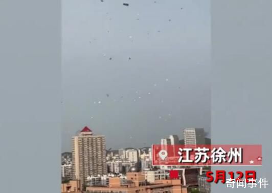 徐州天降大量抵制虐貓傳單 物業工作人員還在清理