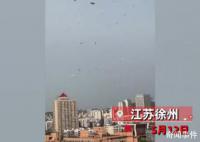 徐州天降大量抵制虐貓傳單 物業工作人員還在清理