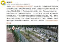 男子為泄憤偷親戚骨灰盒丟河道 該男子已被依法刑事拘留