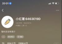 美妝博主程十安小紅書賬號被封 到底怎么回事