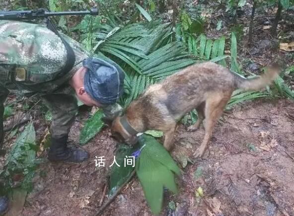 飛機失事超兩周后找到4名幸存兒童 最小僅11個月大