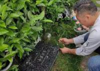 杭州墜亡女童父親:她竟不用坐牢