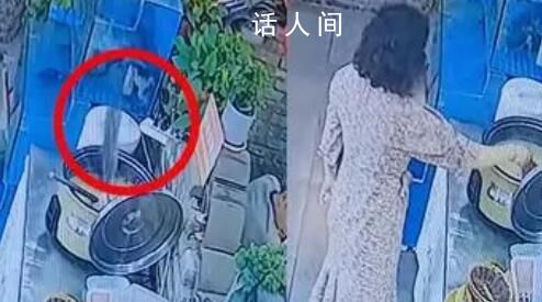 魚缸里的魚一躍跳進(jìn)一鍋粥里 畫面被監(jiān)控記錄下來