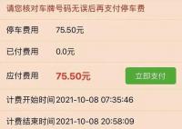 南寧道路停車費(fèi)一天近百元 官方回應(yīng)