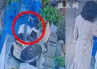 魚缸里的魚一躍跳進一鍋粥里 畫面被監(jiān)控記錄下來