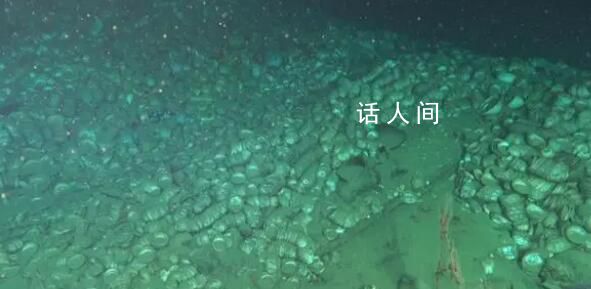 南海發現兩處古代沉船 文物超十萬件