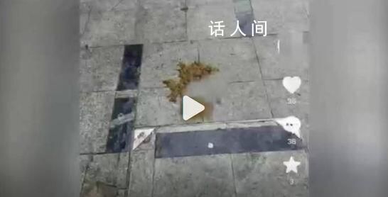安徽滁州一小區內有人高空拋下糞便 拋物位置在監控死角
