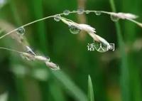 小滿小滿 小得盈滿