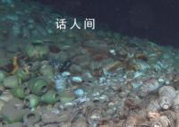 海南發現水下文化遺存124處 數量居全國之首
