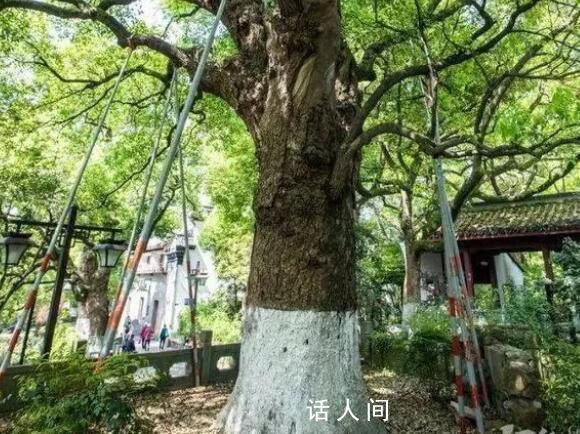 外婆給慈善組織捐了1000萬 匿名捐贈深藏功與名只愿物盡其用