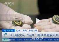 這些非法入境“異寵”隱患多 一盒玩具中夾藏活體龜2只