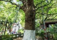 外婆給慈善組織捐了1000萬 匿名捐贈深藏功與名只愿物盡其用