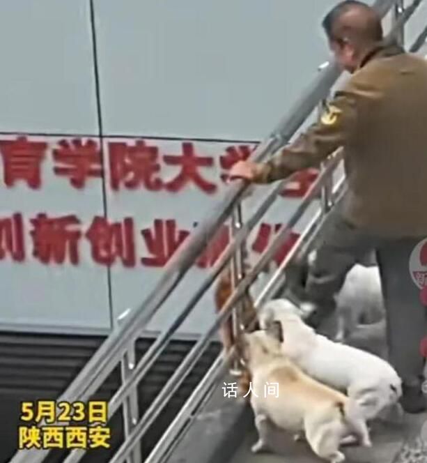 老人遛狗不牽繩還將貓?zhí)唢w 實(shí)在是令人憤怒不已