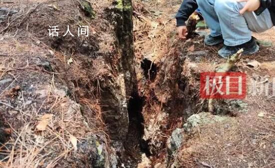 9歲男孩失蹤13年后尸骨現(xiàn)身山林地縫 同伴稱事發(fā)前現(xiàn)場有一村婦