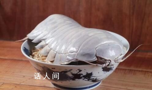 臺灣推出大王具足蟲拉面 食客：這個拉面很好吃
