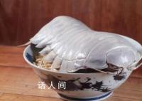 臺灣推出大王具足蟲拉面 食客：這個拉面很好吃