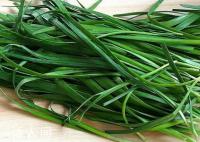 農(nóng)殘標準上調(diào)25倍 還能放心吃韭菜嗎