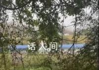 小伙被騙緬北3年警方指導逃脫 當地詐騙團伙發布40萬懸賞令