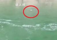 2教師疑為迎接領導撿鵝卵石溺亡 遇水電站放水被卷走溺亡