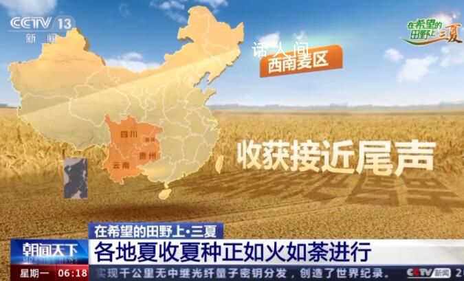 一組數(shù)字看中國(guó)豐收“速度” 冬小麥的收獲正如火如荼