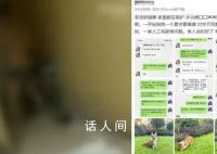 被砍死柯基主人:對方家人說不是大事