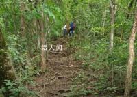 驢友爬山遭雷擊:直挺倒下全身麻木