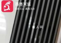 女子稱提離職被經理毆打 引起廣泛關注