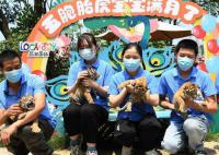 重慶五胞胎虎寶寶首次與游客見面 已經滿月