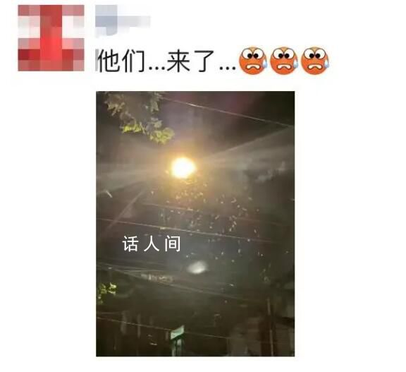 上海白蟻來襲 一夜之前白蟻全出來了