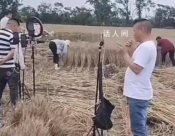 網(wǎng)紅扎堆到麥地直播割麥 有網(wǎng)紅聲稱收割機(jī)進(jìn)不來