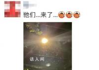上海白蟻來襲 一夜之前白蟻全出來了