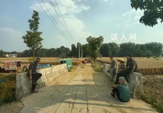 安徽村民攔下赴河南收割機(jī)就地作業(yè) 三地同時(shí)收割機(jī)器忙不過來