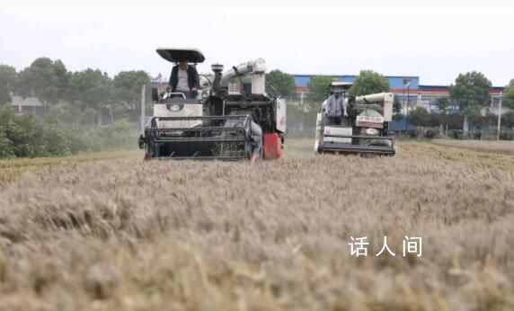 女子11萬買收割機(jī)幫爸媽收麥子 謊稱三四萬買的