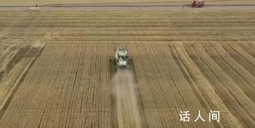 三夏大規模小麥機收全面展開 機收面積已連續3天超過1000萬畝