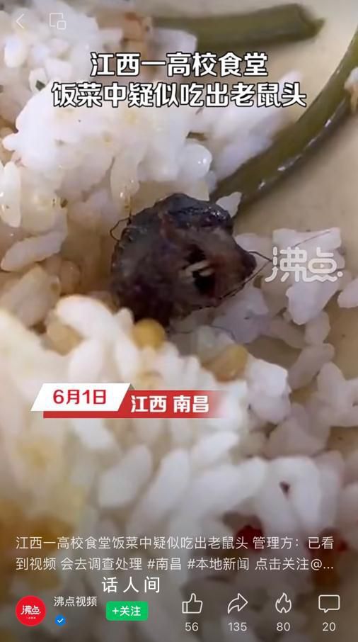 校方回應食堂飯菜中吃出老鼠頭 引起社會熱議