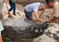 村莊修路挖出大石龜?官方通報