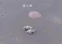 神十五返回艙著陸瞬間 歡迎費俊龍鄧清明張陸回家
