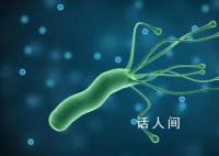 國內幽門螺桿菌人群感染率近50% 如何預防幽門螺桿菌感染?