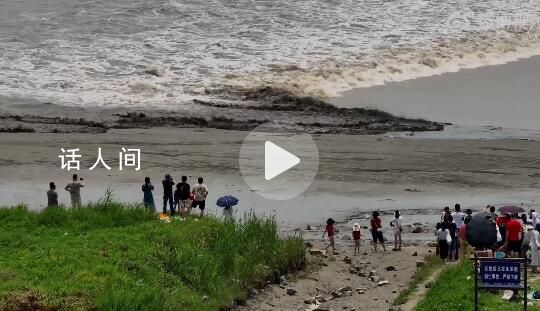 游客觀潮險(xiǎn)被卷逃跑時(shí)還在拍照 涌潮的推進(jìn)速度及摧毀能力非血肉之軀所能抗衡