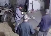 老父親半夜去田里收麥忙到天亮 很心酸覺得自己沒用