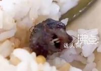 涉事學校曾因老鼠事件被聯合執法 南昌市場監管局已經介入