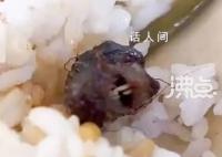 高校飯菜吃出老鼠頭?市監局:鴨脖
