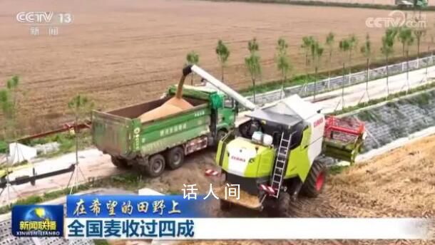 全國麥收過四成 農(nóng)民朋友們的努力正在有效地得到回報
