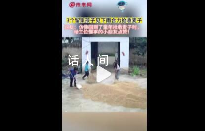 3個(gè)留家孩子見下雨合力搶收麥子 給三位懂事的小朋友點(diǎn)贊
