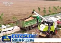 全國麥收過四成 農民朋友們的努力正在有效地得到回報