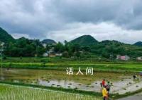 芒種忙什么 芒種要干什么農事活動
