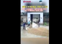 3個留家孩子見下雨合力搶收麥子 給三位懂事的小朋友點贊