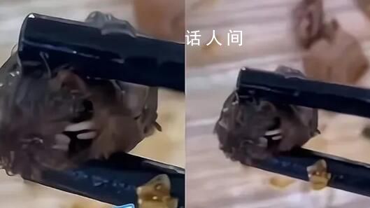 媒體:鴨脖羅生門關(guān)鍵信息未披露