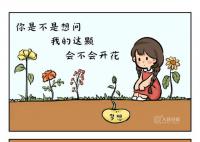 給1291萬(wàn)高考生的手繪 等待和夢(mèng)想見(jiàn)面吧